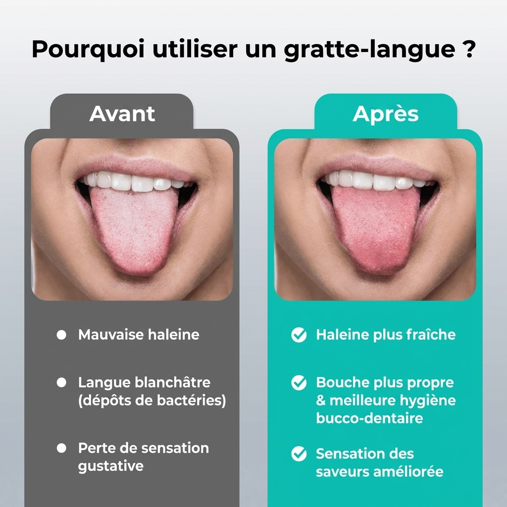 Gratte-langue en acier inoxydable