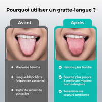 Gratte-langue en acier inoxydable